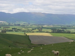 Classic Kiwi countryside looking down on Tapanui area